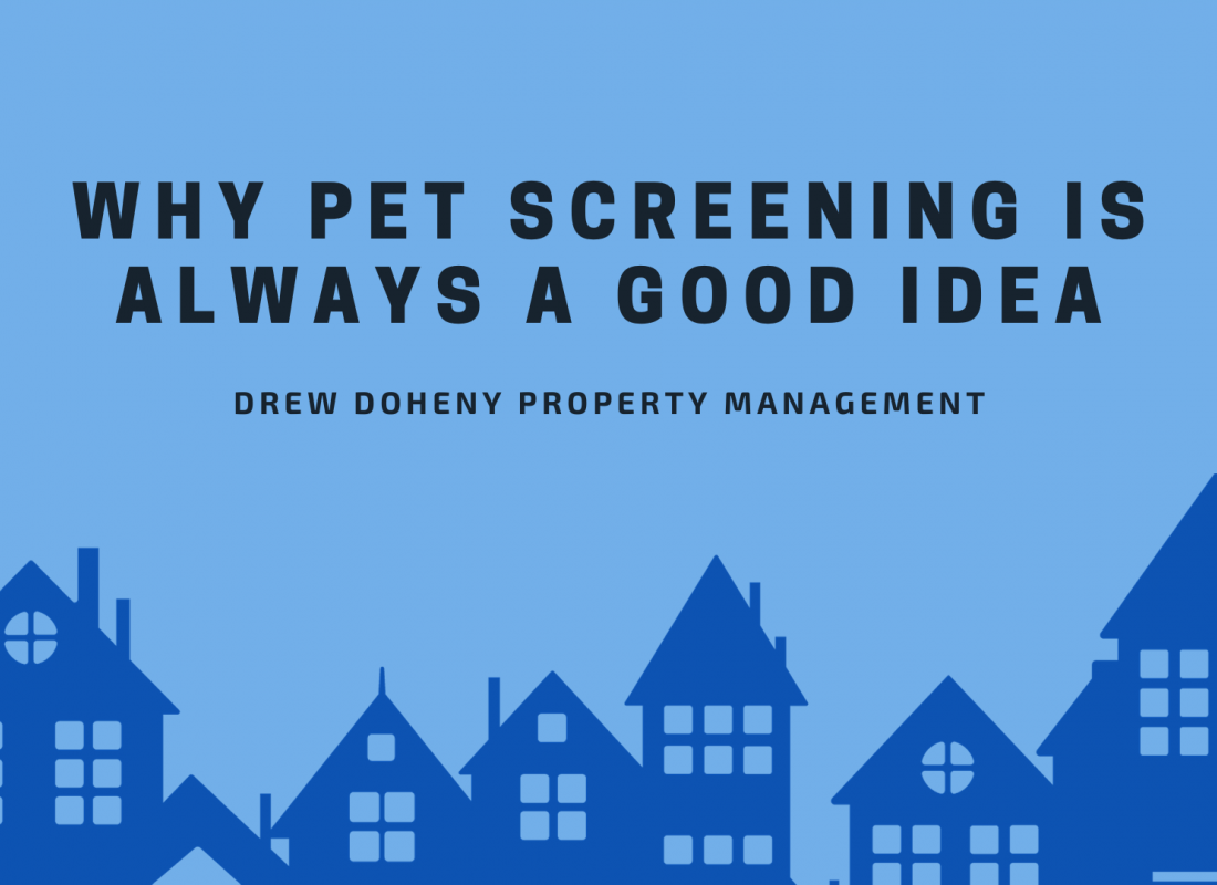 Why Pet Screening Is Always a Good Idea