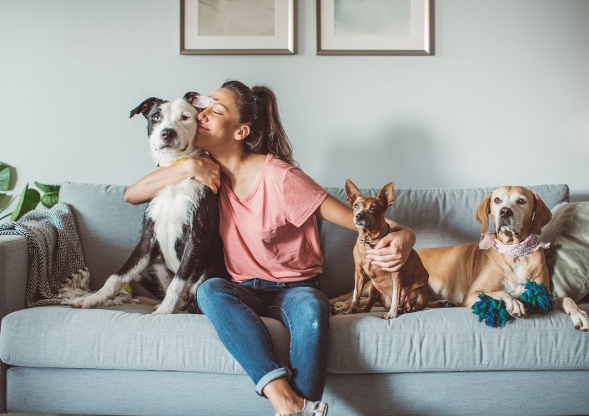 A tenant with a pink shirt, ponytail and jeans sits on a light blue couch with three dogs.